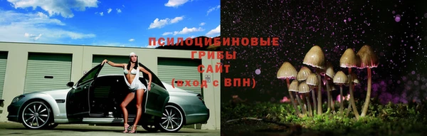 хмурый Верея