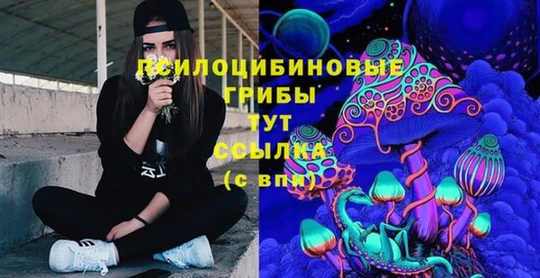 хмурый Верея