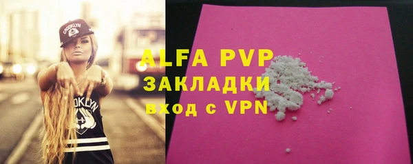 хмурый Верея