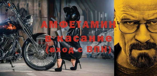 хмурый Верея