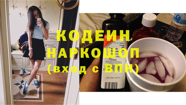хмурый Верея