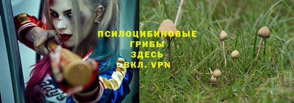 хмурый Верея