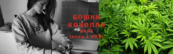хмурый Верея