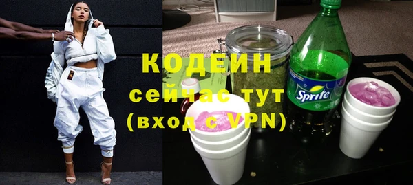 хмурый Верея