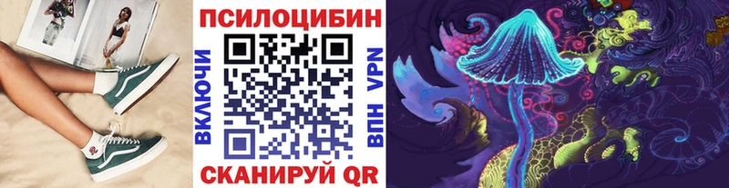 Купить где  Невельск  Псилоцибиновые грибы мицелий 